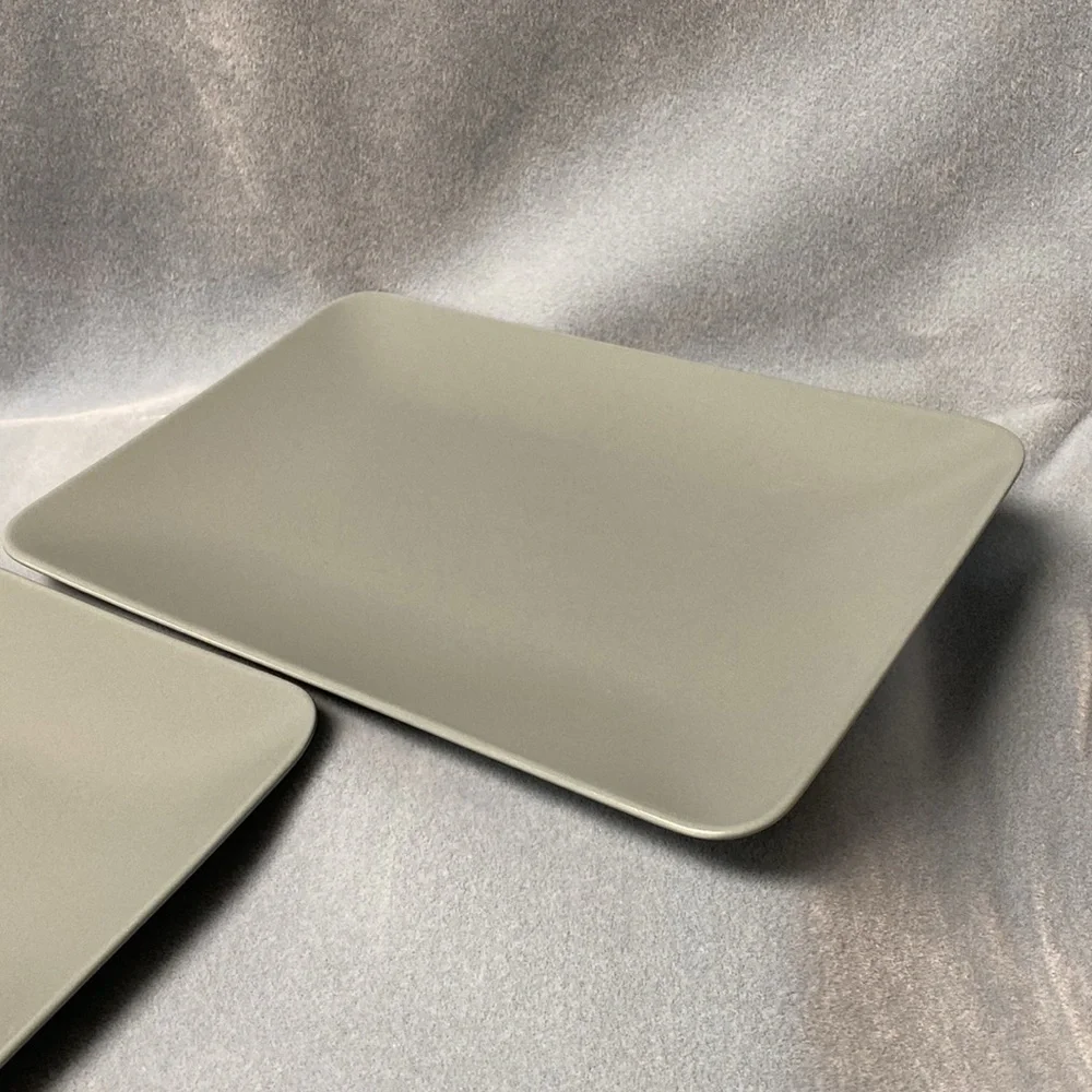 IKEA Dinera Slate Dinner Plates (set of 2)  Pattern 18691